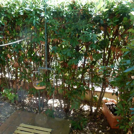 Appartamento Casa Eucalipto